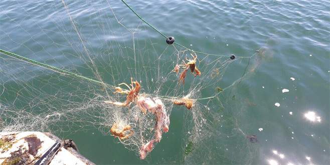 İznik Gölü’nde kaçak avcılığa geçit yok