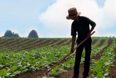 Genç çiftçilere 30 bin liraya kadar hibe desteği