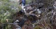 Ormanlık alana düşen Suriye uçağına ait enkaz görüntülendi