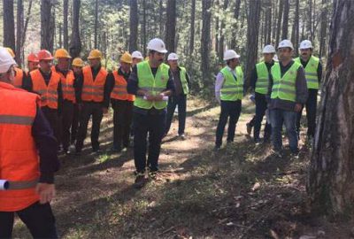 Ormanda üretim tatbikatı