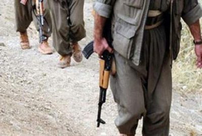 Emniyet Müdürü’nden flaş PKK iddiası!