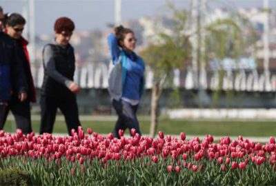 Bursa’da çiçeklerle renk cümbüşü