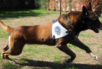 ‘Alfa’ uyuşturucu tacirlerinin kabusu