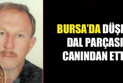 Düşen dal parçası canından etti