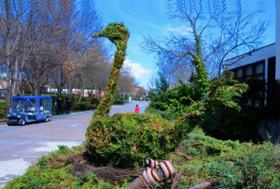 Altınpark’ta çalılardan otomobil yaptılar