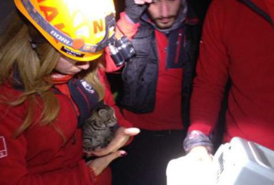 Bursa’da su borusuna sıkışan yavru kediler böyle kurtarıldı