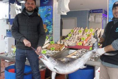 Mudanyalı balıkçıların ağlarına dev kılıç balığı takıldı