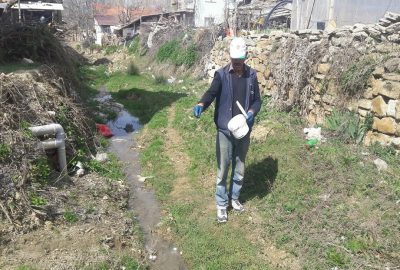 Sinekle mücadele başladı