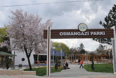 Bozüyük’te baharın müjdecisi ağaçlar çiçek açtı, parklar renklendi