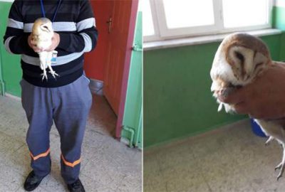 Kapıdan kovuyorlar, bacadan giriyor