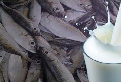 Balık yedikten sonra süt içen üniversite öğrencisi öldü