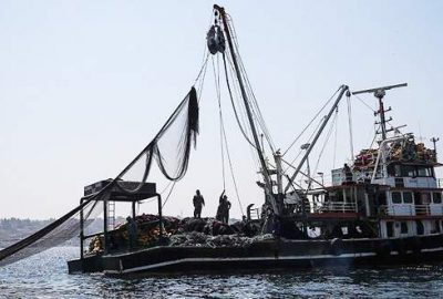 Denizlerde av sezonu sona erdi