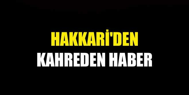 Hakkari’de iki asker şehit oldu