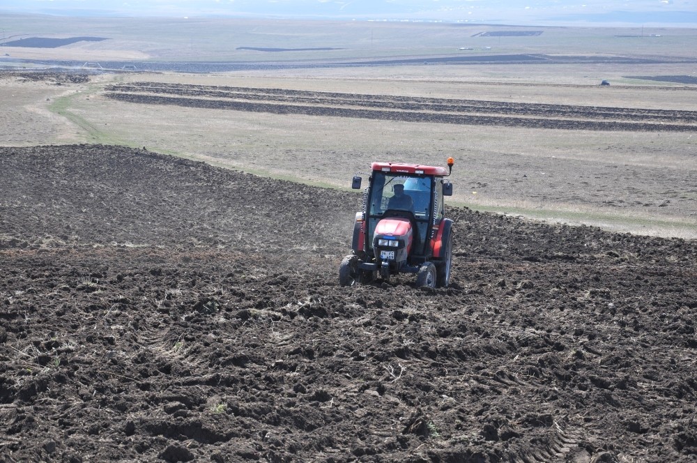 Tarlalar sürülmeye başladı Tarlalar sürülmeye başladı