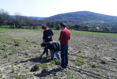 Yunusemreli üreticilere lavanta eğitimi