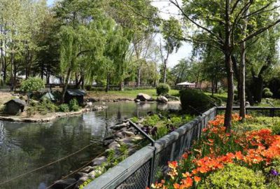 Bursa’nın Afrika savanası yaza hazır