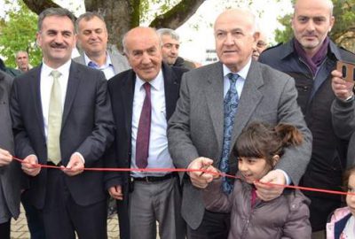 Külliye’nin zeytinleri Gemlik’ten