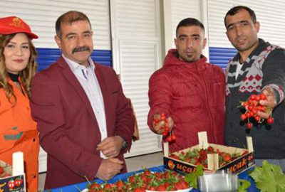 Kilosu 85 liradan tezgaha indi