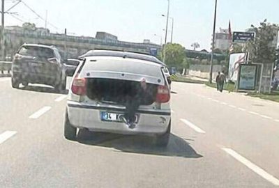 Bagajda ölümüne yolculuk