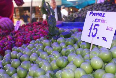 Yaz meyveleri tezgaha indi, fiyatlar el yakıyor