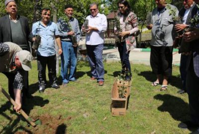 ‘Huzurlu’ fidanlar