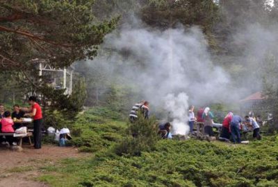 Tavuk eti kanatlandı