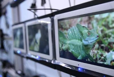 Uçakta cihaz yasağına ‘kablosuz eğlence sistemli’ çözüm