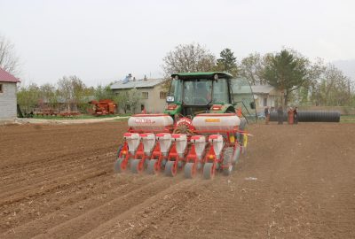 Ergan fasulyesi demonstrasyon çalışmaları başladı