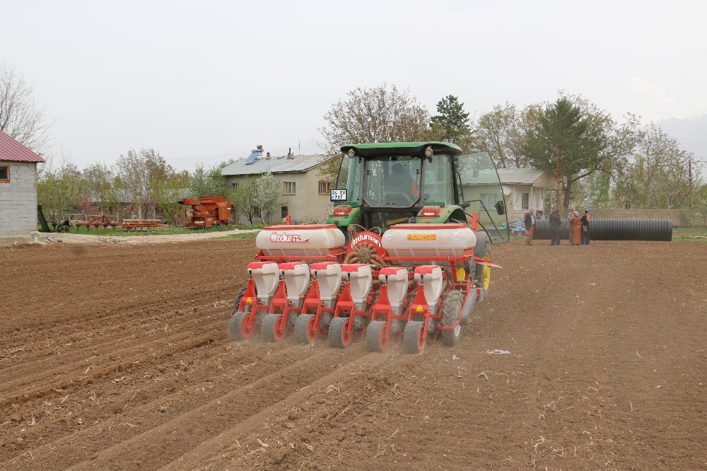 Ergan fasulyesi demonstrasyon çalışmaları başladı Ergan fasulyesi demonstrasyon çalışmaları başladı
