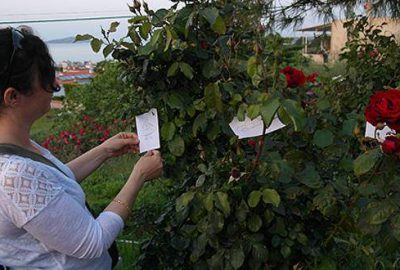 Her yıl 6 Mayıs'ta geleneksel bayram olarak kutlanan "Hıdırellez"de ev,