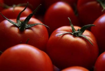 Domates fiyatları düşecek mi?