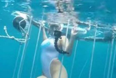 Porno yıldızına köpek balığı saldırdı