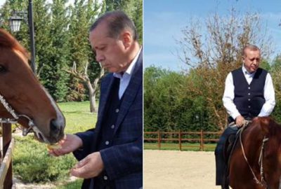 Cumhurbaşkanı Başdanışmanı bugün paylaştı