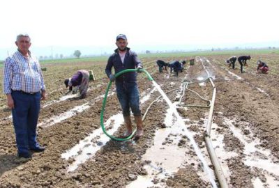 Çiftçiden umutlu başlangıç