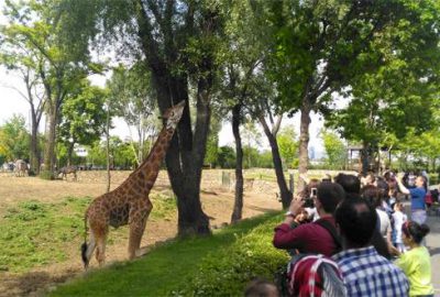 Bursa Hayvanat Bahçesi’ne ziyaretçi akını