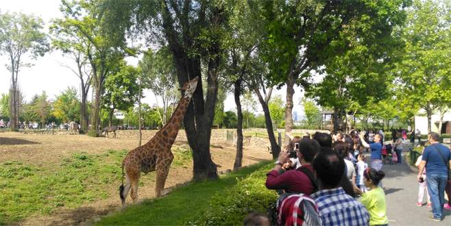 Bursa Hayvanat Bahçesi’ne ziyaretçi akını