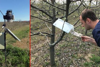 Meyve ilaçlamasına teknoloji desteği