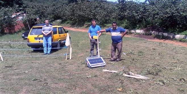 Arı yetiştiricilerine ayı uyarısı Arı yetiştiricilerine ayı uyarısı