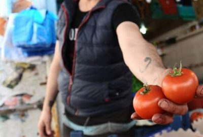 Tavukla yarışan domatesin ateşi düştü