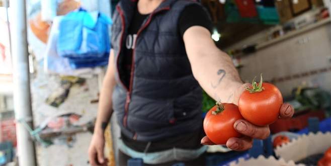 Tavukla yarışan domatesin ateşi düştü
