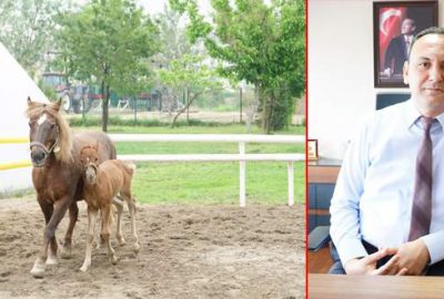 Mucizeye tanık olun