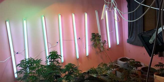 Apartman dairesinde uyuşturucu fabrikası