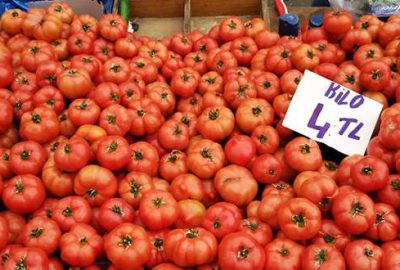Domatesin ateşi düştü