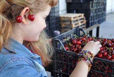 Kirazda rekolte düştü fiyatlar yükseldi