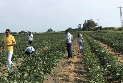 Rus tarım heyeti Mersin’de