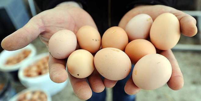 Yumurta fiyatları düştü tavuk fiyatları yükseldi
