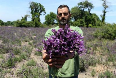 Nadir olarak Bursa’da yetişen doğal şifa kaynağı tehlike altında