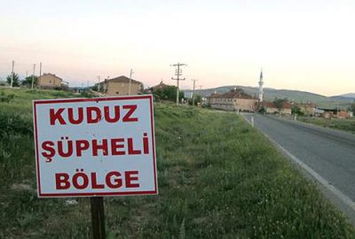 Bursa’da kuduz karantinası!