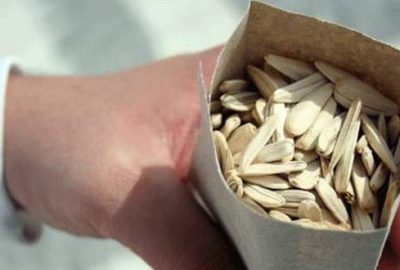 Çitlerken iyiydi, ceza gelince şok oldular!