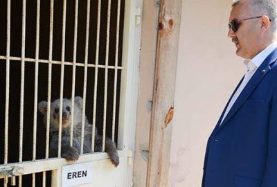 Karacabey, yavru ayıya sahip çıktı